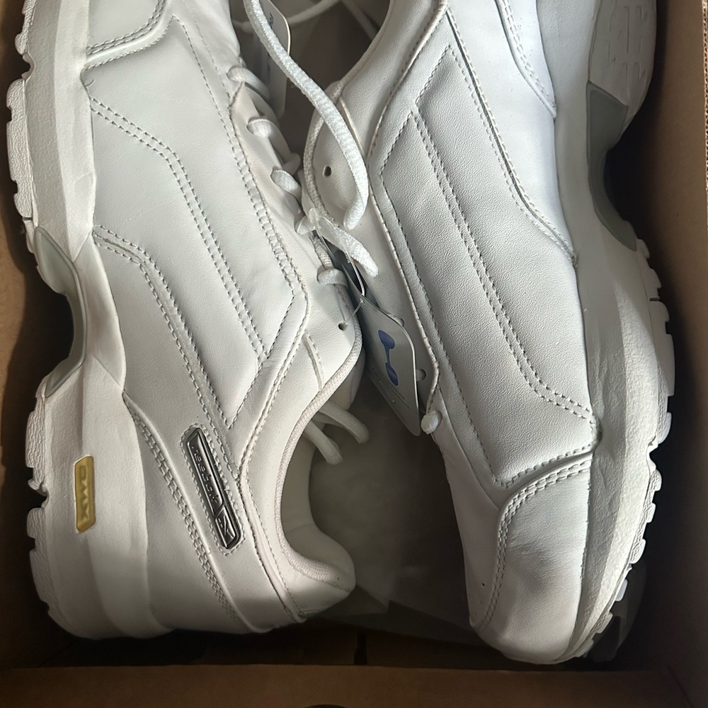 Men’s Reebok walk platinum dmx